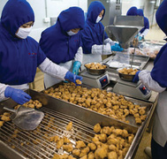 image of line workers sorting eggs