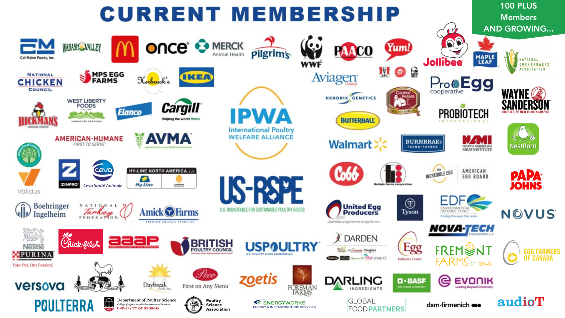 US-RSPE Member Graphic