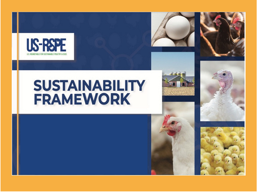 sustainability framework graphic