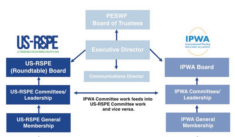 IPWA / US-RSPE flowchart